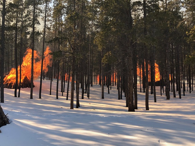 Pile burning and snow cover next to Bear Lake Road January 2020 Courtesy Rocky Mountain National Park Image of pile burning and snow cover near the Bear Lake Road in January of 2020.