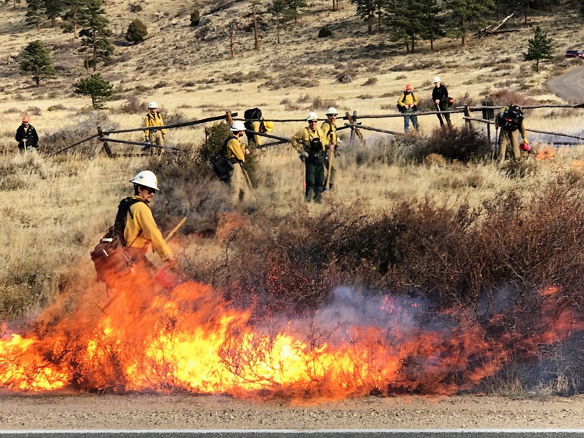 Park fire managers conduct prescribed burn.