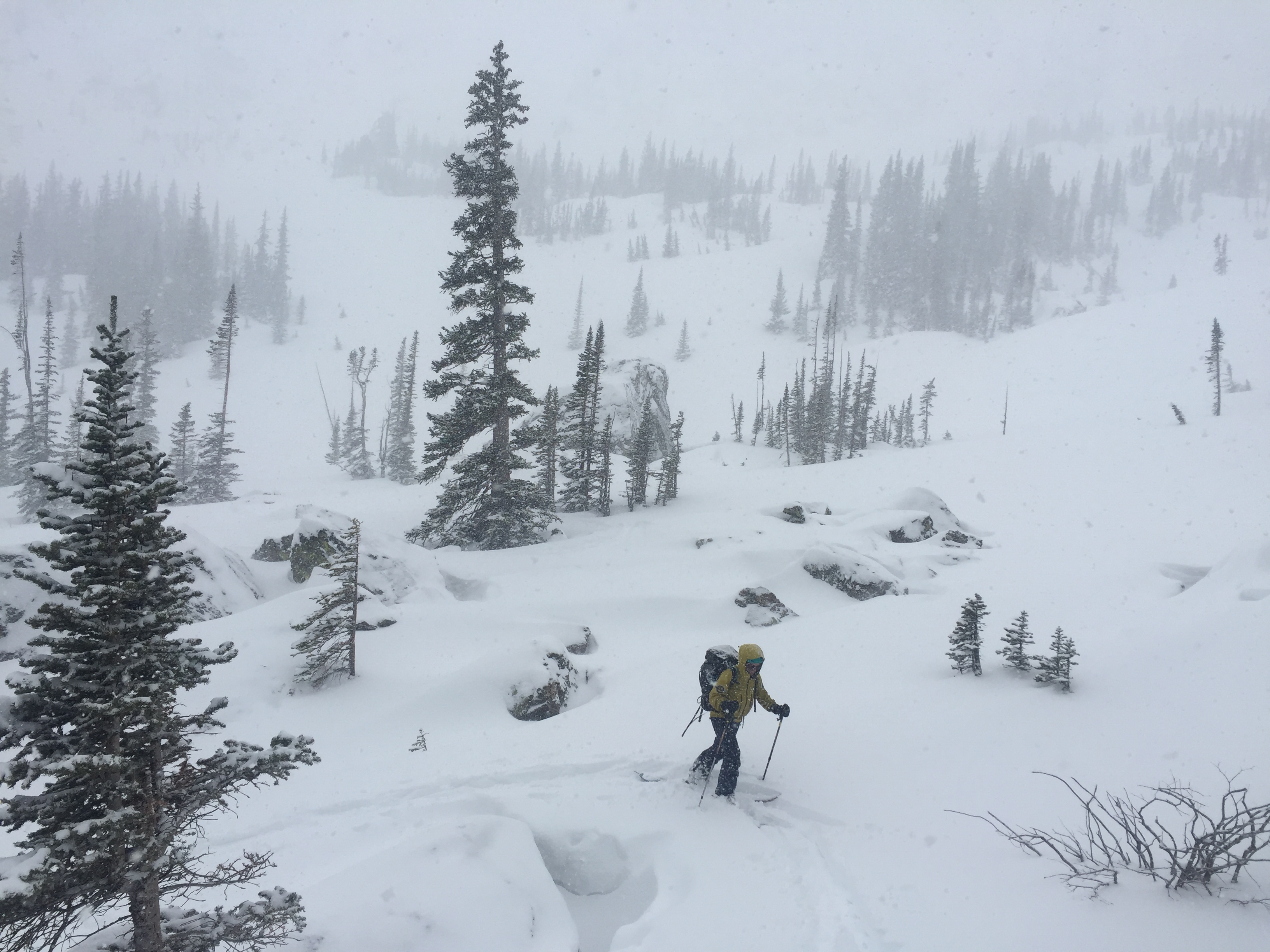 RMNP Search and Rescue Team Member conducts search operations in the Lake Haiyaha area.