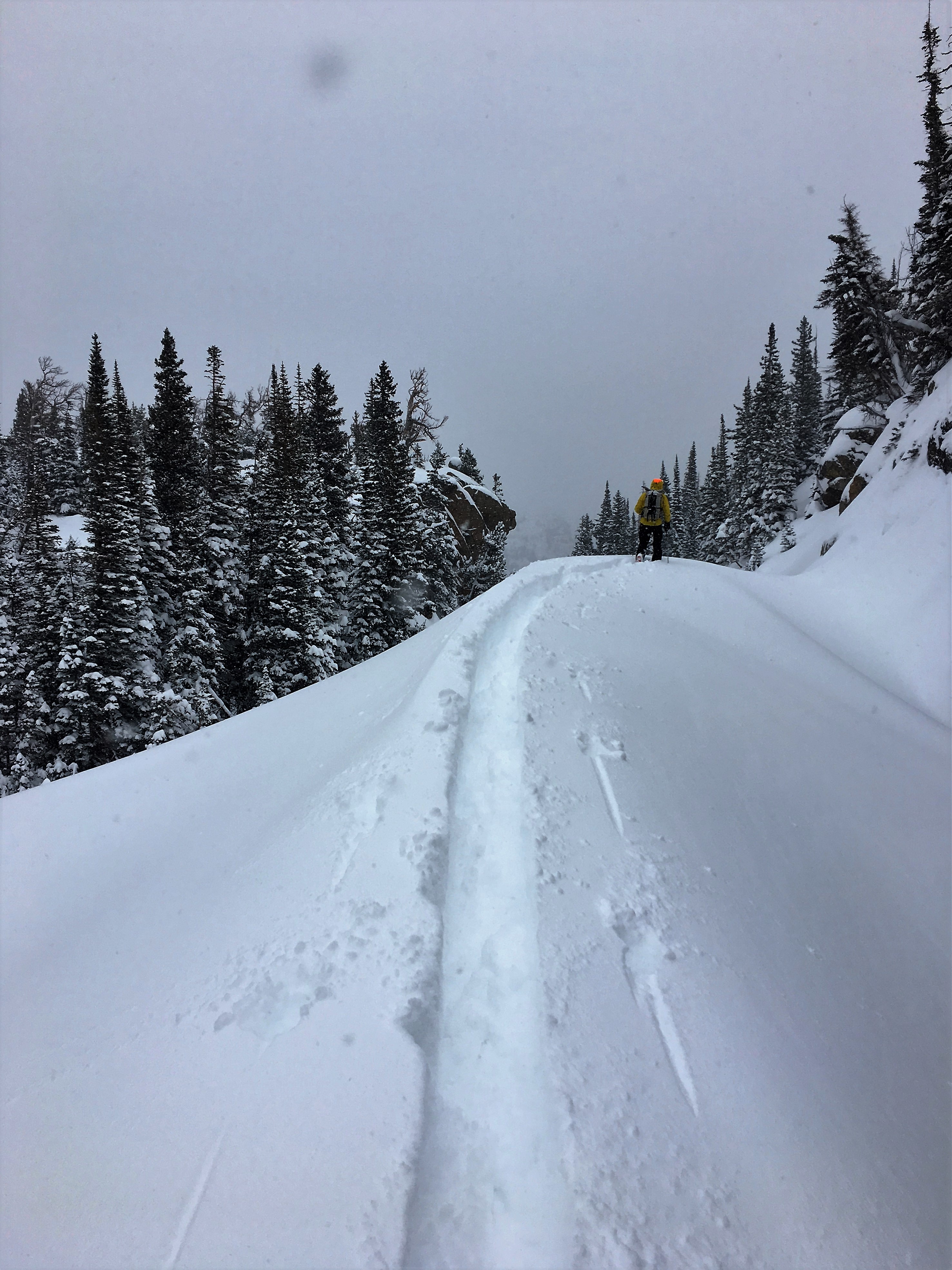 Search efforts for James Pruitt Glacier Gorge Drainage March 3, 2019 Courtesy Rocky Mountain National Park Search efforts for James Pruitt in Rocky Mountain National Park