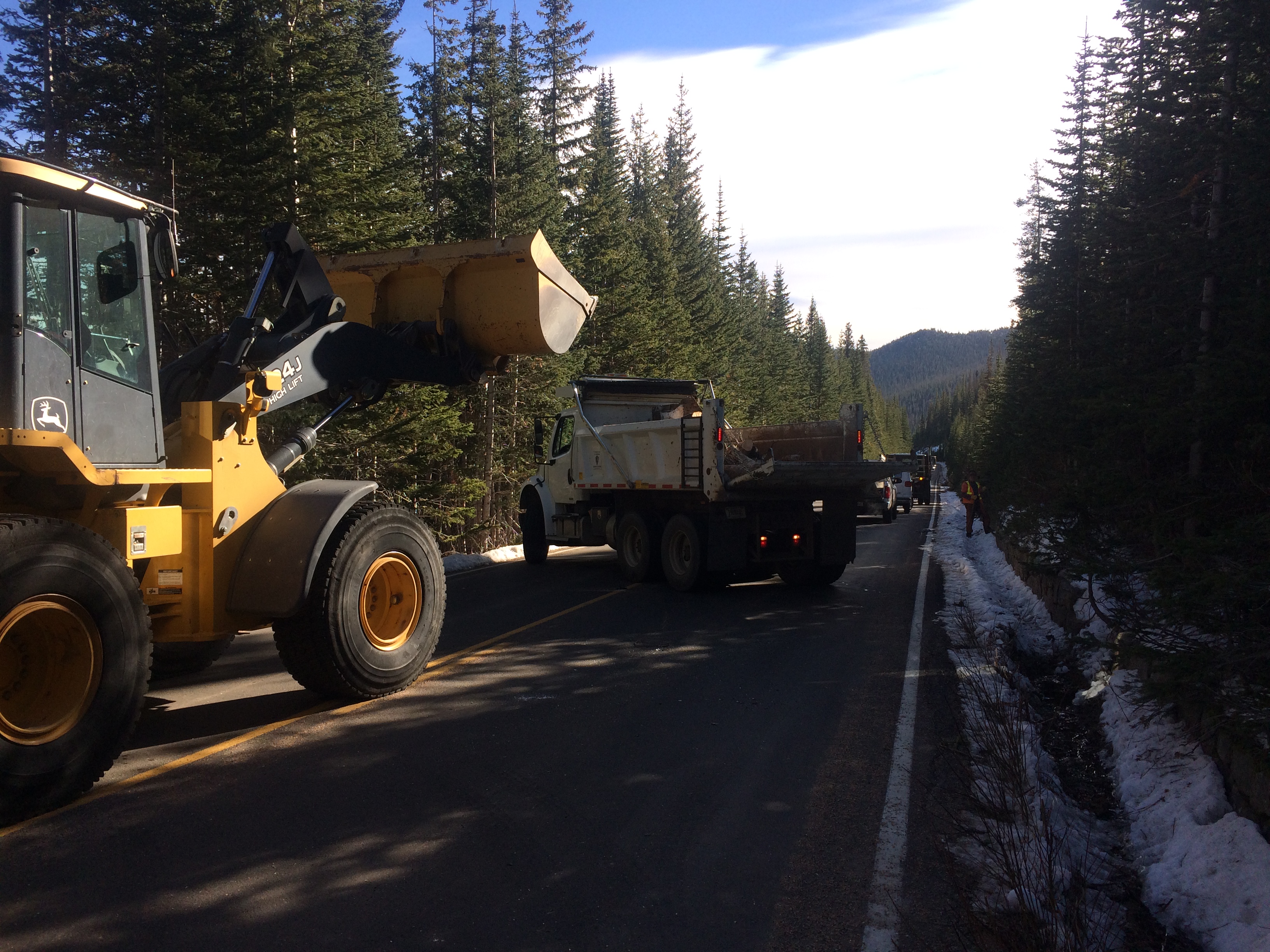 Hazard tree mitigation on Trail Ridge Road, October 2018