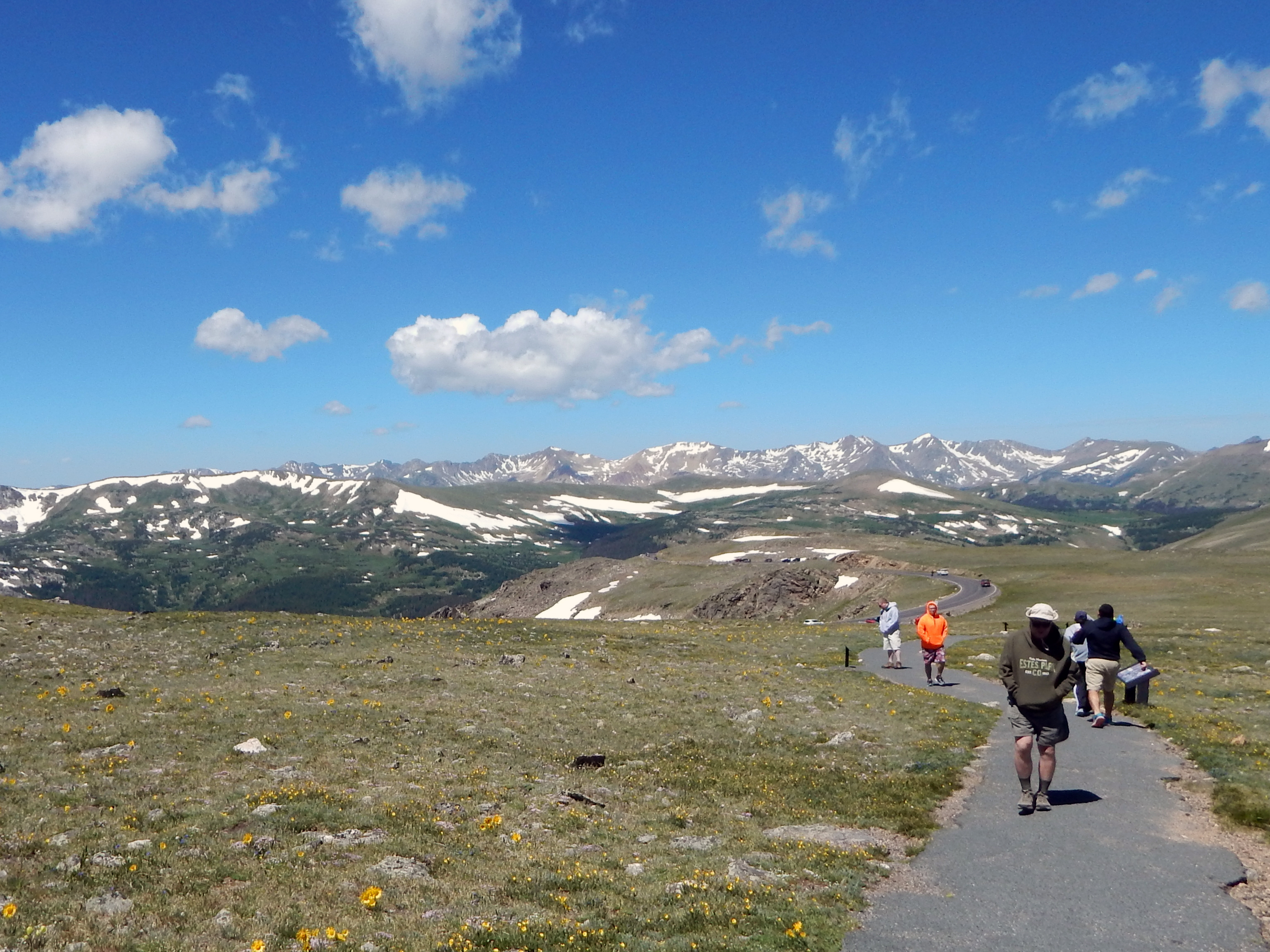 Visitors are hiking on the Tundra Communities Trail in summer. Mountains are in the distance.