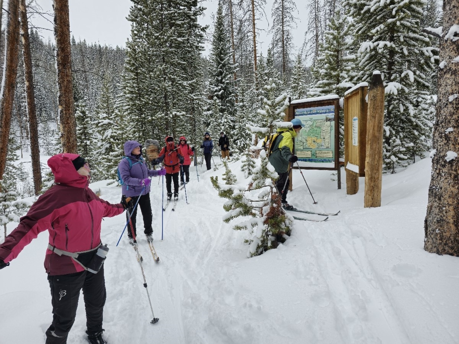 West side RMNP cross-country skiing ranger led program A group of seven people are cross-country skiing on a flat and snow-covered trail during a guided ski tour in RMNP. The people are wearing winter clothing while skiing.