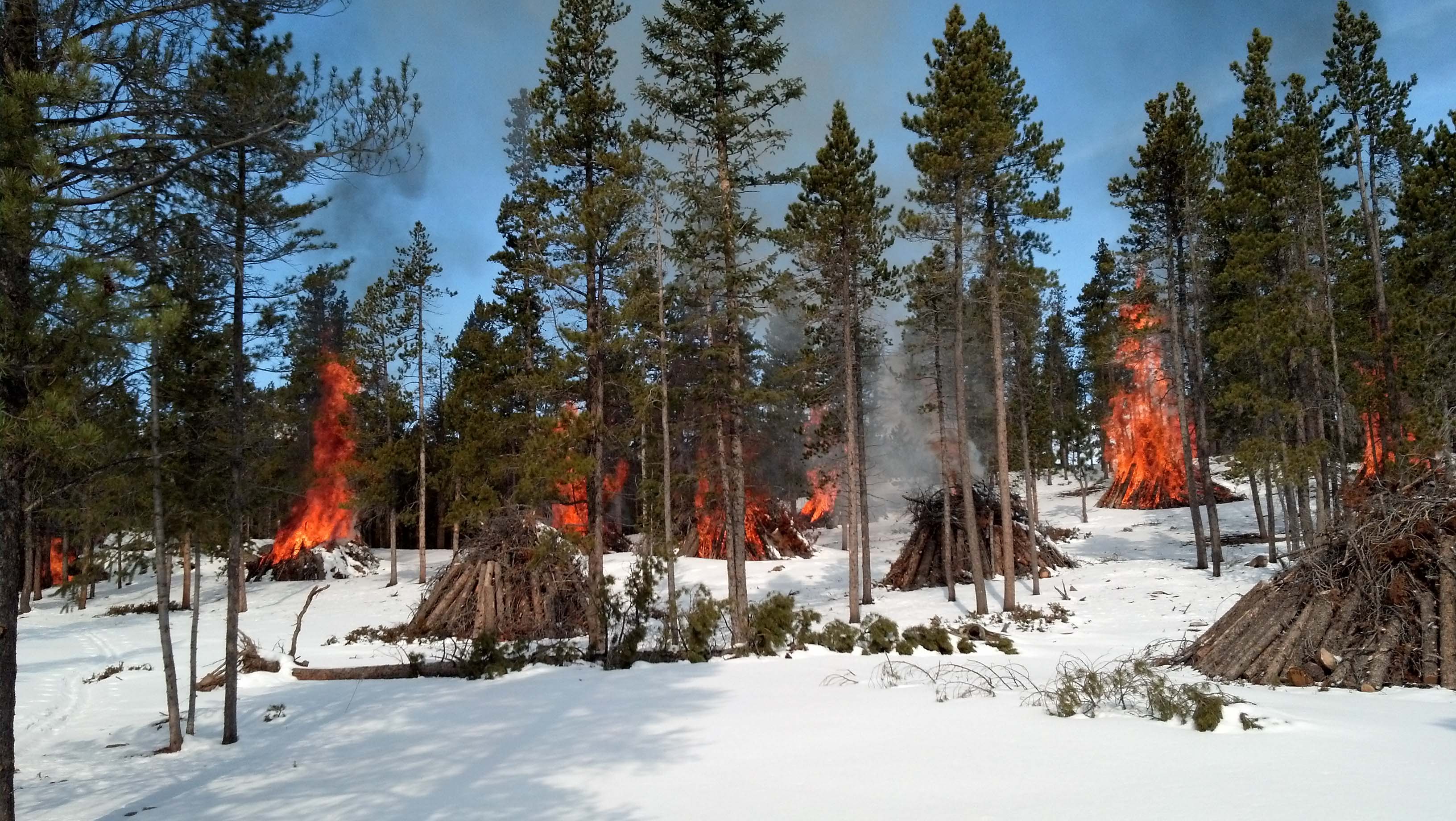 Pile burning at Rocky Mountain National Park