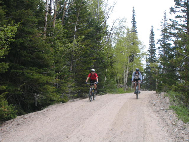 Biking on Old Fall River Road Bicycles on Old Fall River Road