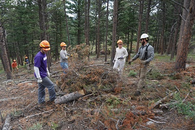 Volunteers and Rangers working together on a burn pile. Volunteers and Rangers working together on a burn pile.