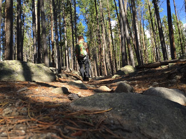 A woman in a volunteer uniform walks down a tree-lined trail