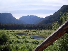 The water from the East Inlet flows west, eventually converging with the Colorado River than it all flows out to the Pacific Ocean.