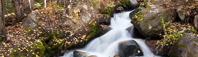 A stream cascade in an autumn forest