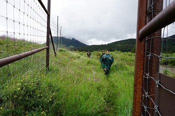 Volunteers entering an elk exclosure area Volunteers entering an elk exclosure area