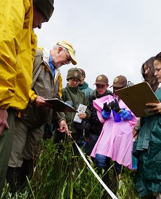 Volunteers learn how to properly measure willows. Volunteers learn how to properly measure willows.