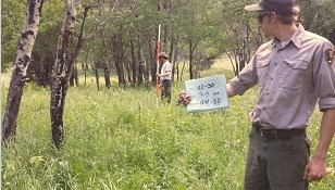 Aspen regeneration surveys.