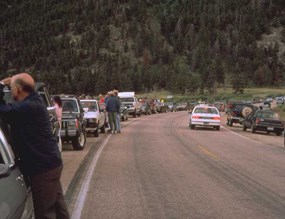 a photo of the an elk jam