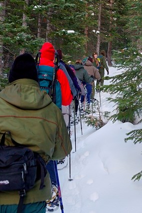 Park visitors enjoying a guided showshoe walk with a ranger.