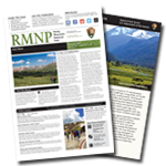 Simulated stack of park newspaper and large print brochure