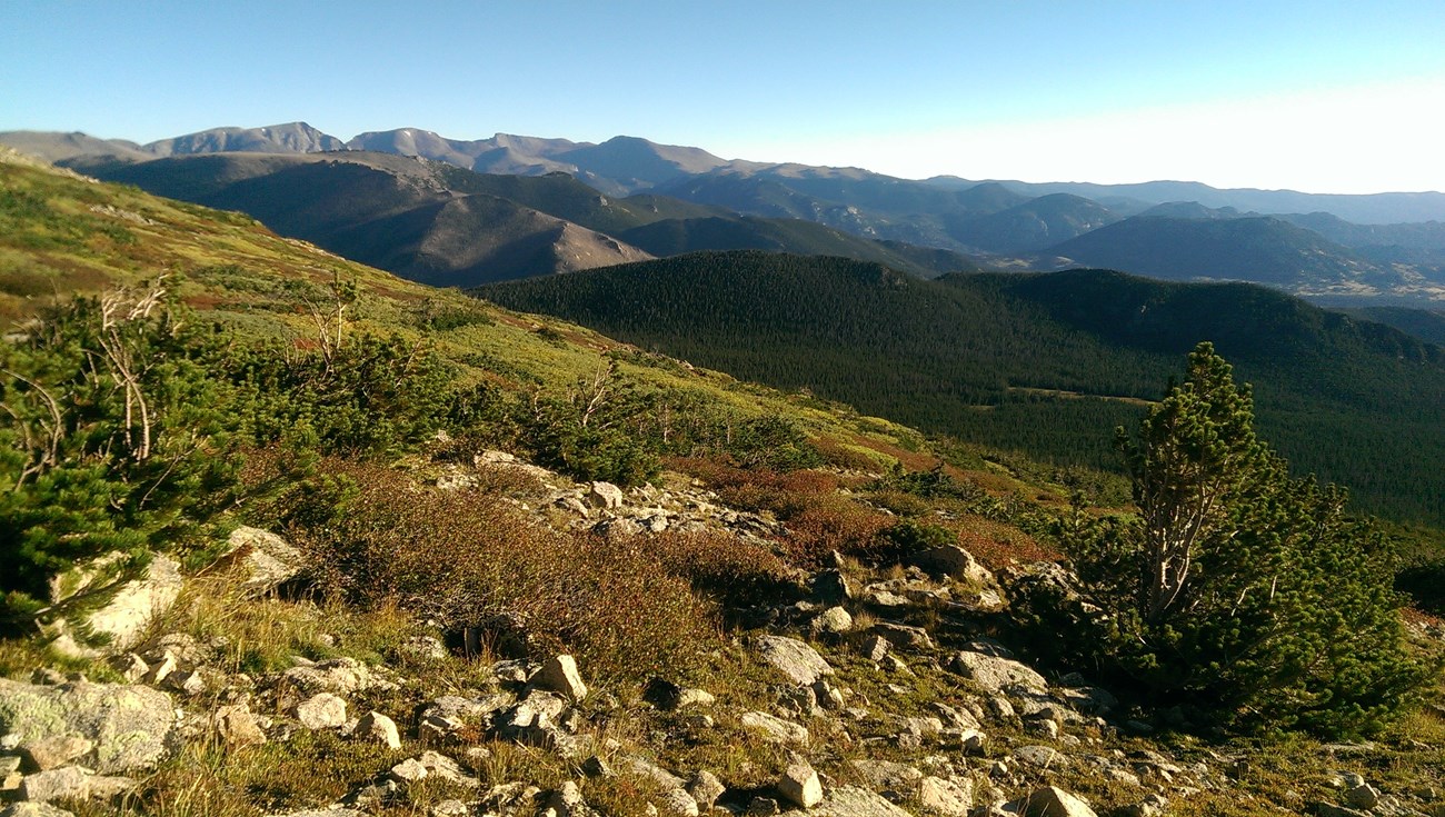 Mummy Range from the Continental Divide area in early September