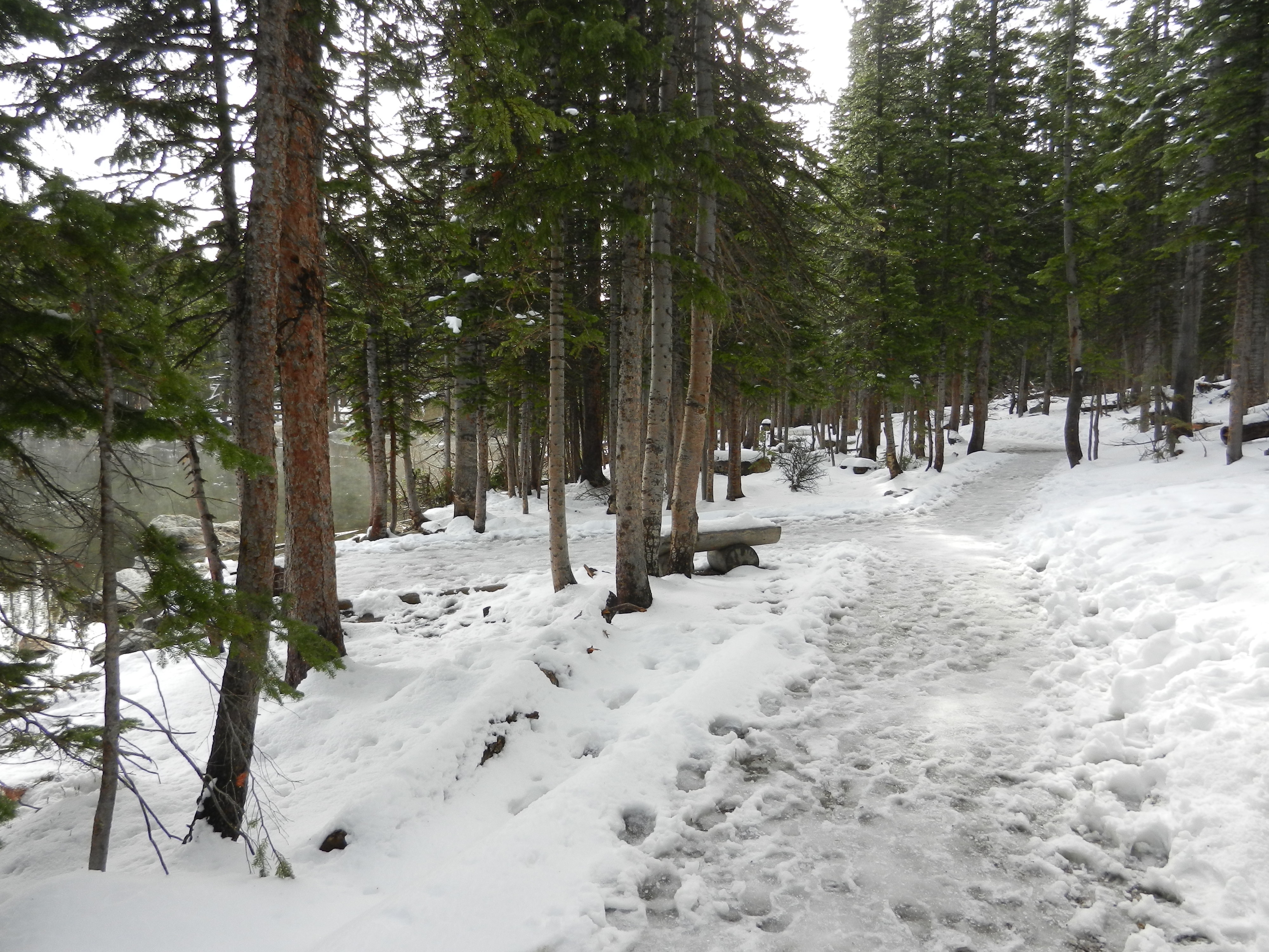 Bear Lake Trail snow and ice