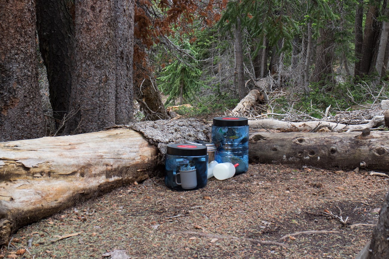Two bear-resistant food storage containers are placed on the ground at a Wilderness Backcountry campsite.
