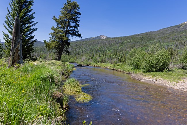 Views of the Colorado River in June