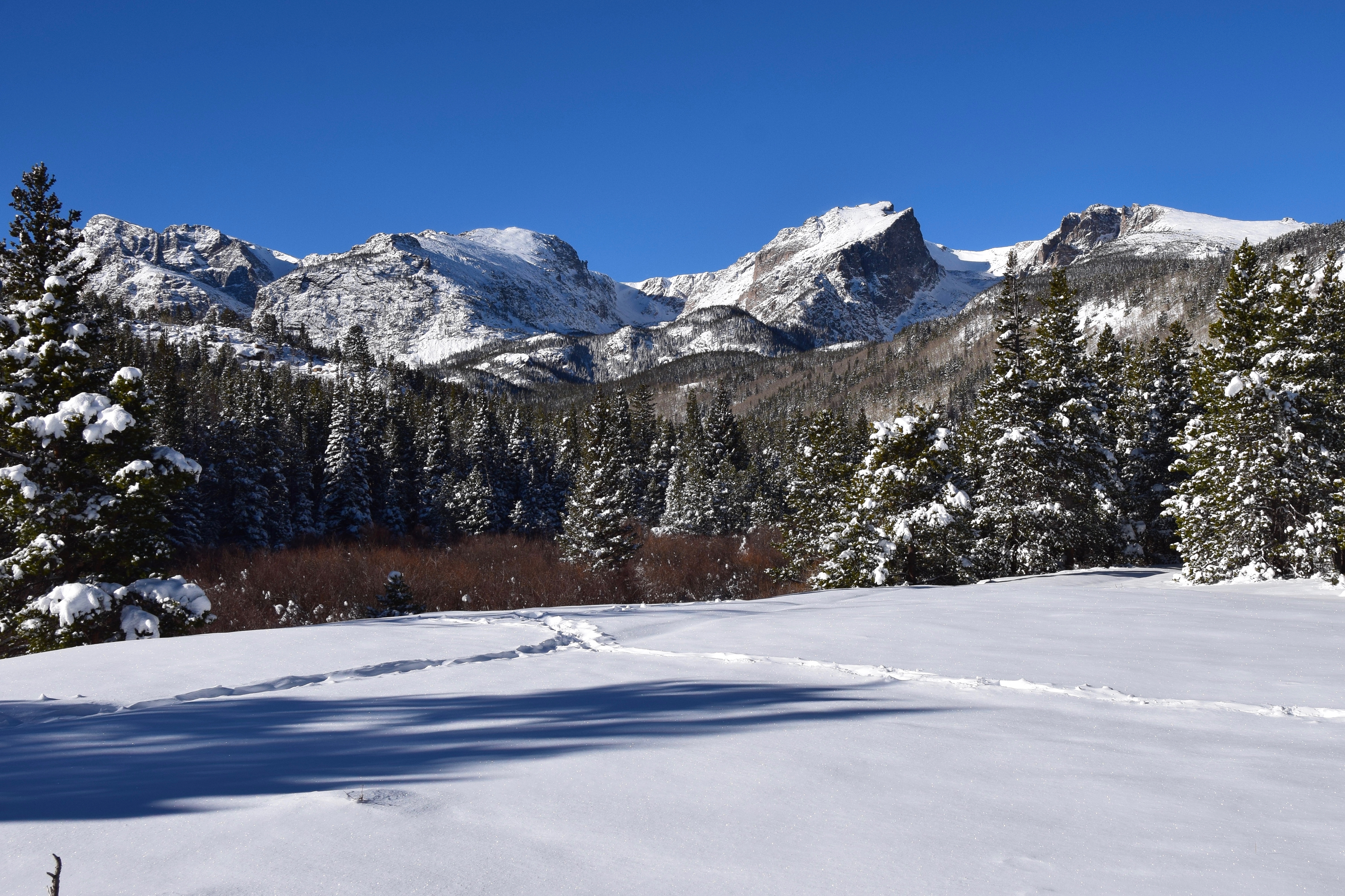 Plan Your Winter & Springtime Visit to Rocky - Rocky Mountain National Park  (U.S. National Park Service)