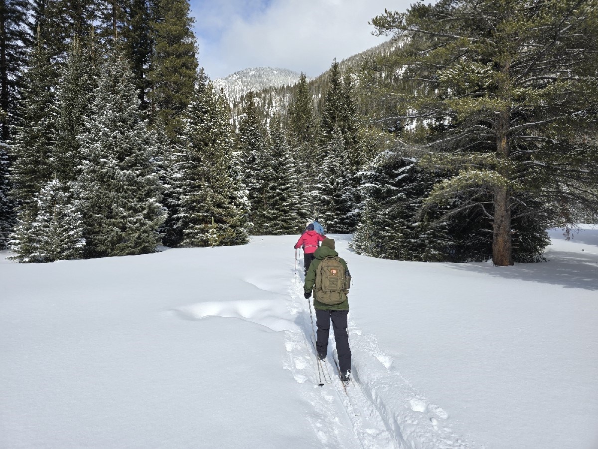 Ranger-led Cross Country Ski Tour