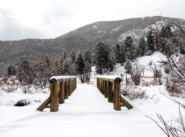 The bridge to Cub Lake is covered in snow, the ground nearby is covered in a blanket of fresh snow