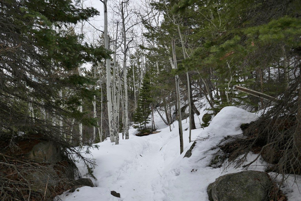 Cub Lake Trail with April snow (NPS/VIP K Daugherty) Cub Lake Trail with April snow (NPS/VIP K Daugherty)