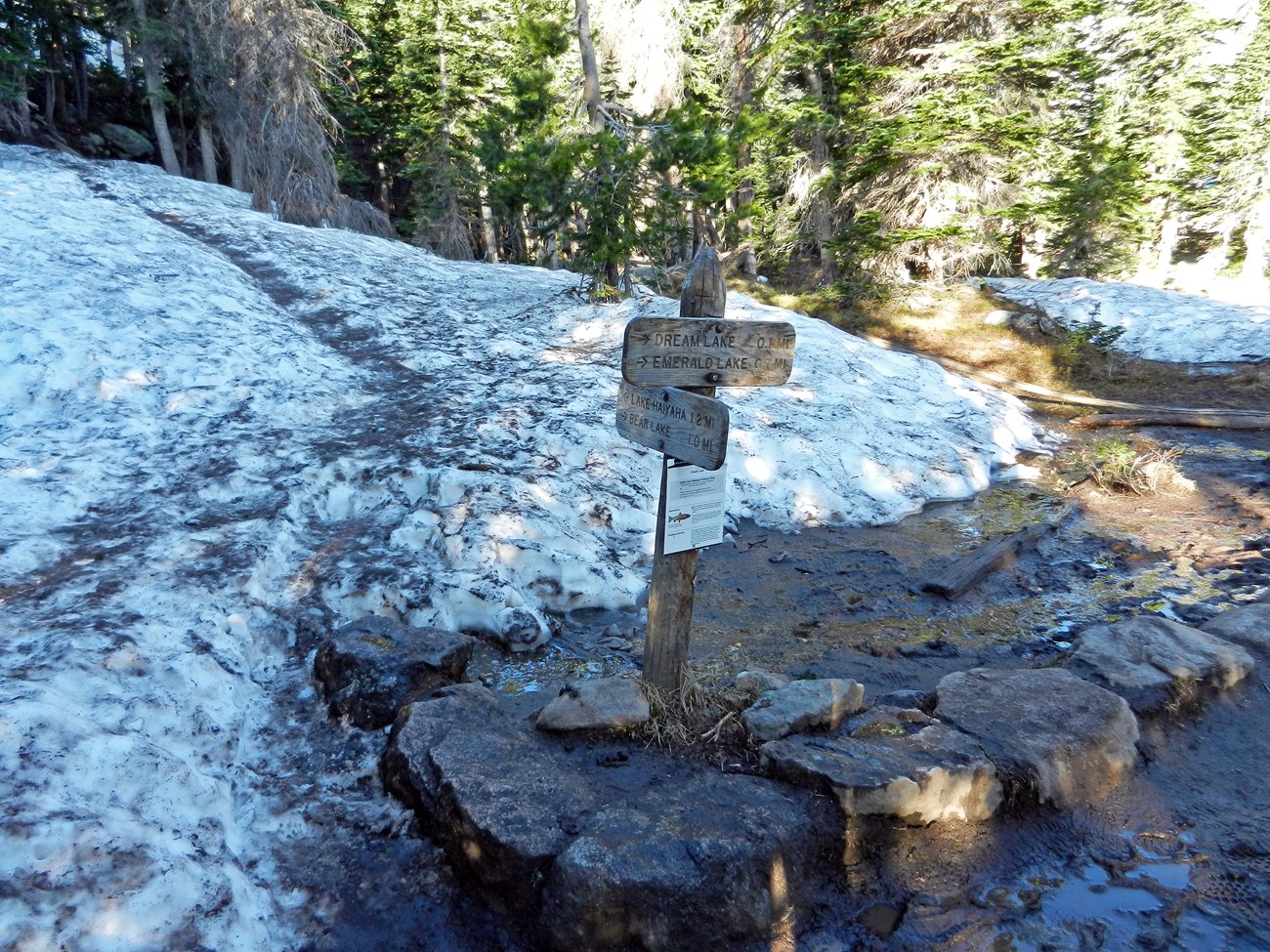Snow is melting but still covers the ground at the Dream Lake and Lake Haiyaha Junction