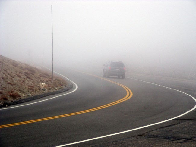 Fog on Road_002
