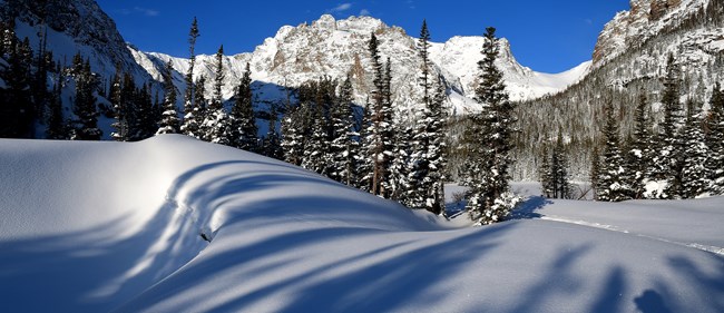 A winter view of The Loch in RMNP. Fresh snow is on the ground. Pine trees and mountains are covered with fresh snow. The sky overhead is clear and blue. It is a beautiful winter day in RMNP.