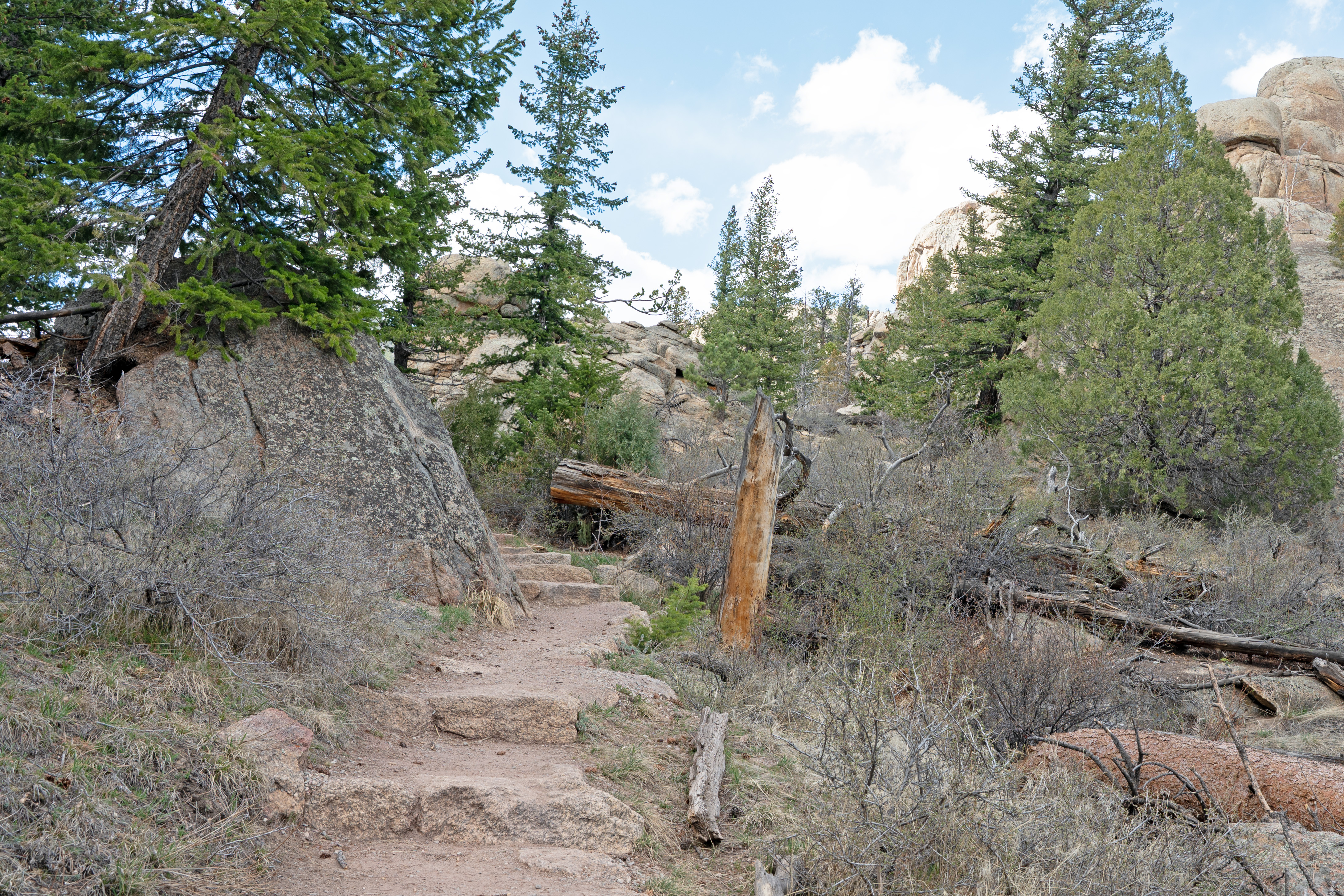 A dirt hiking trail, lined with rocks and trees, is dry on a sunny day