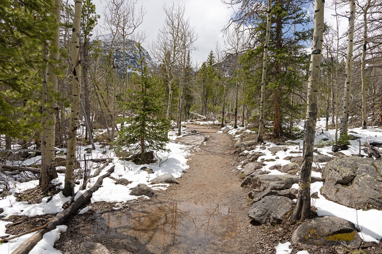Glacier Gorge Trail_Wet and muddy