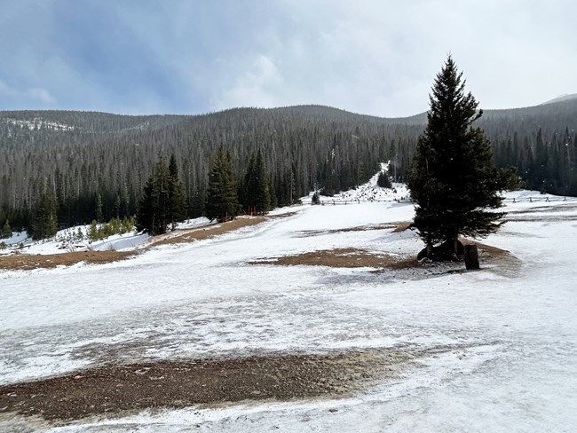 Sledding Hill has large patches of ice and bare ground exposed. Very little snow is on the hill.