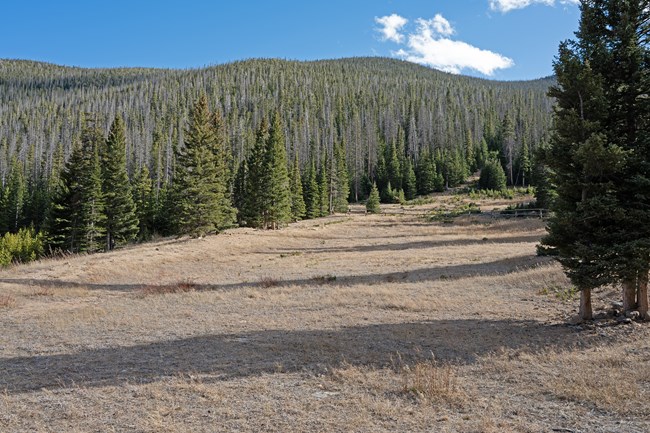 Hidden Valley Sledding Hill with no snow on the ground