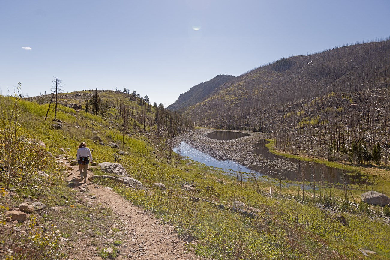 A person is hiking on Cub Lake Trail on a clear, sunny day above Cub Lake