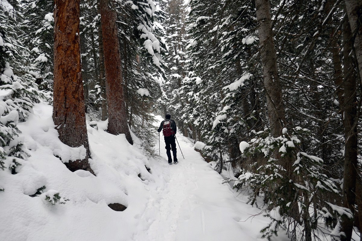 Hiker wearing traction devices and using hiking poles hikes on a snow-covered trail Hiker wearing traction devices and using hiking poles hikes on a snow-covered trail