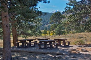 Hollowell Park picnic area 320X212