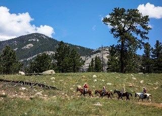 Horseback riders 320X228