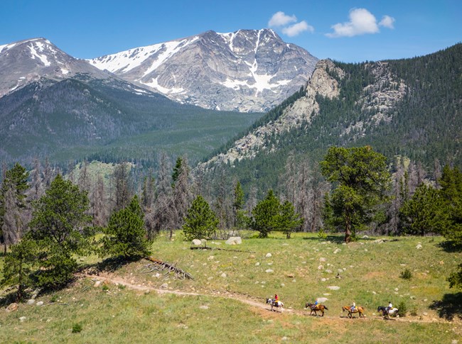 Four horseback riders on horses on a trail below the Mummy Range