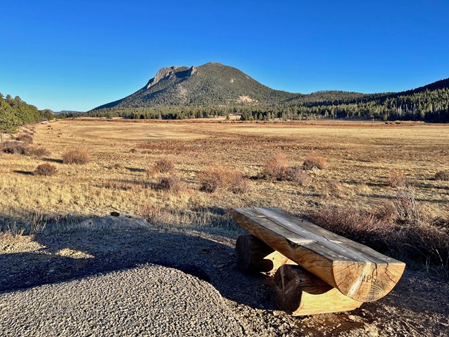 Horseshoe Park meadow with dry grasses in spring