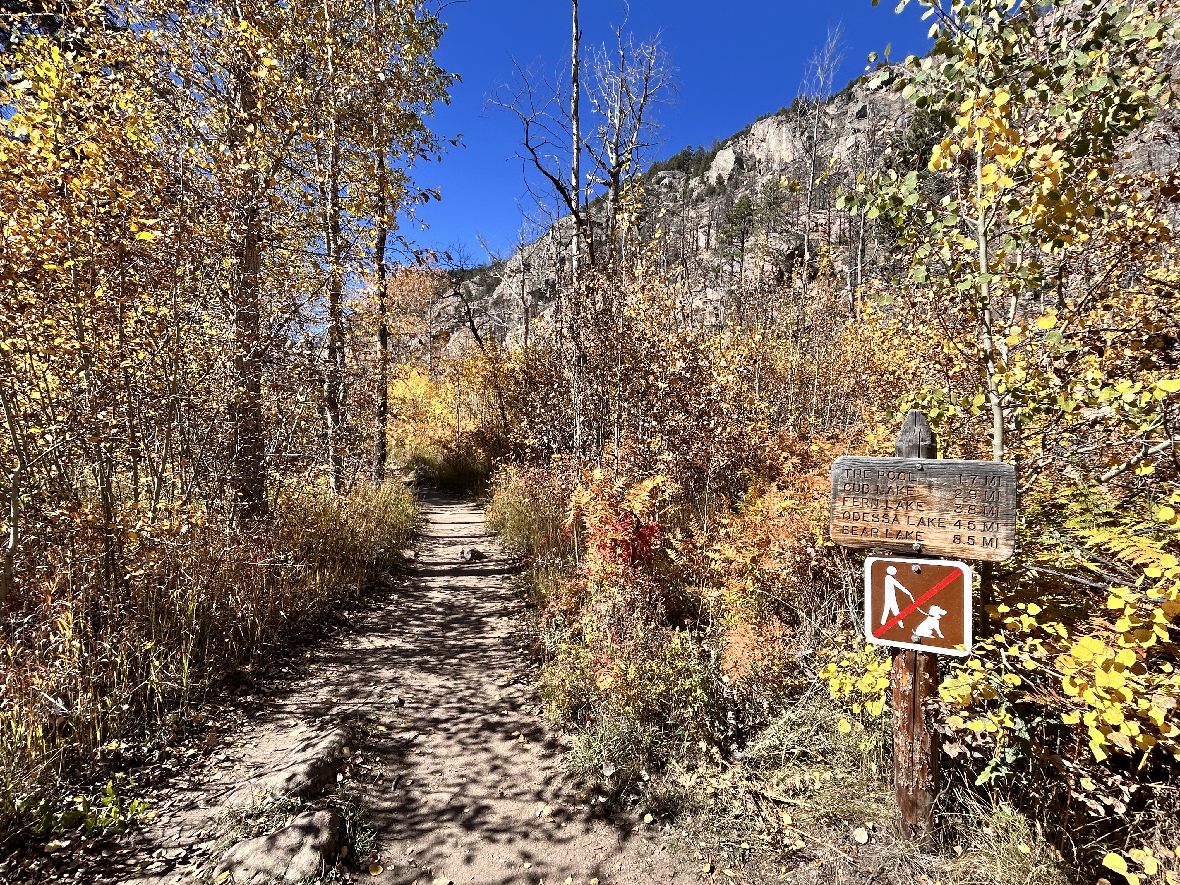The Fern Lake Trail is lined with trees in varying shades of gold and brown