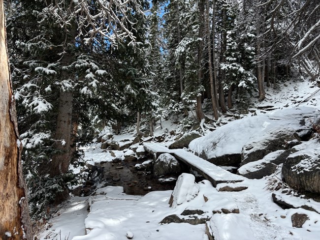 Snow on the Longs Peak and Chasm Lake Trail