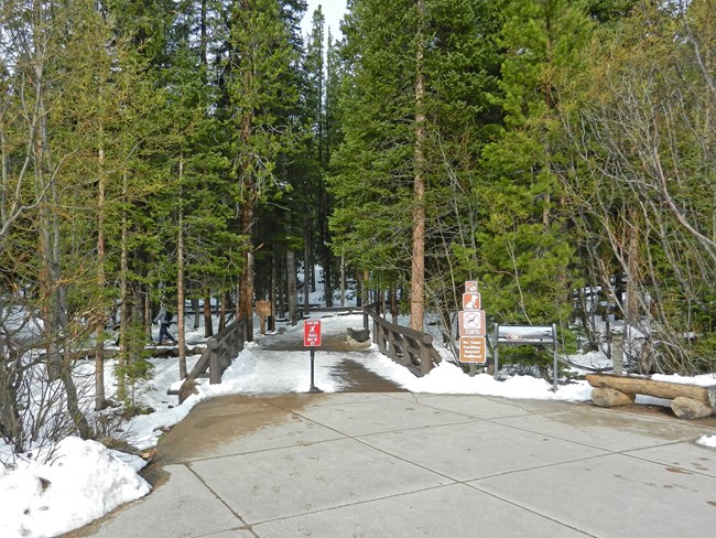 Ice on the trail near Bear Lake Plaza