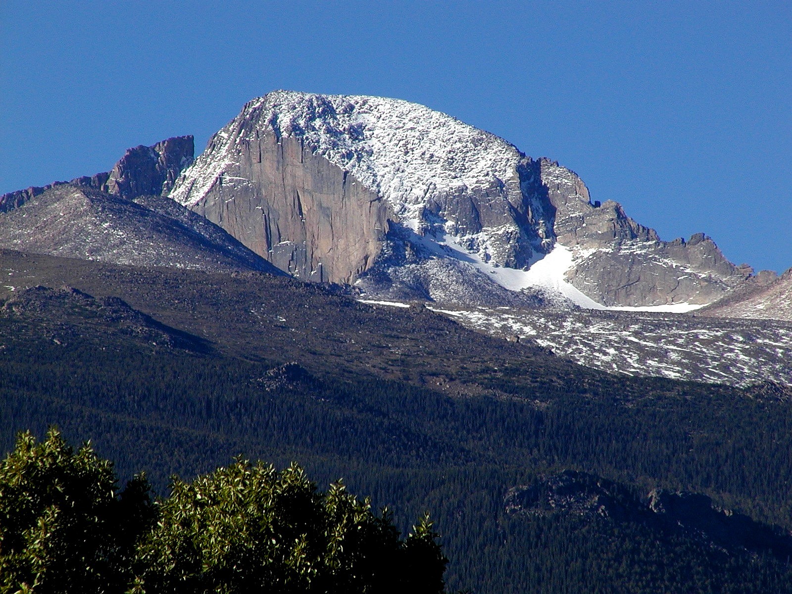 RMNP License Plate - Rocky Mountain Conservancy