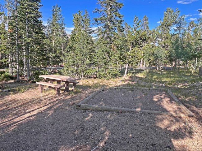Longs Peak Campground - Campsite Tent Pad