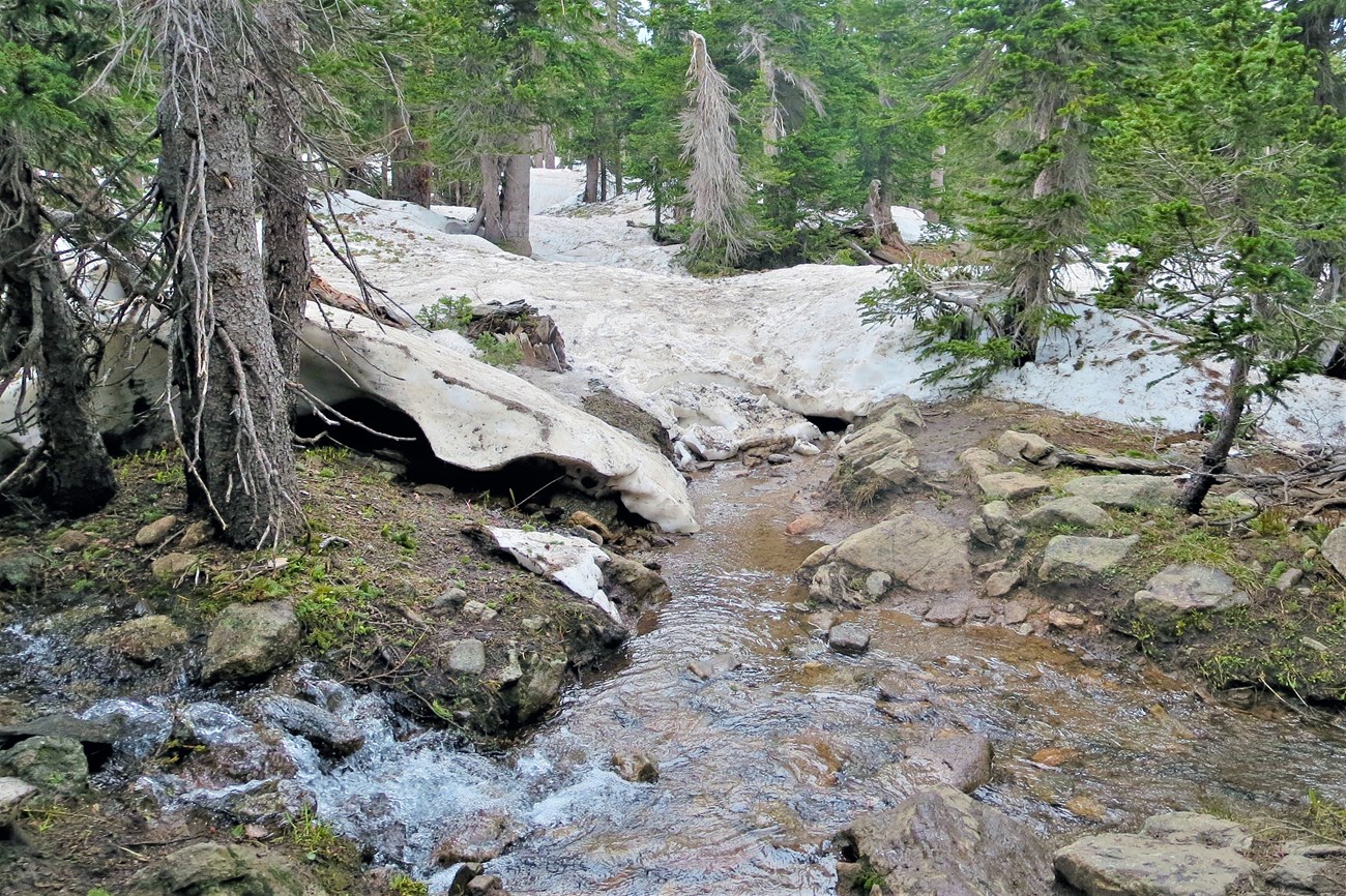 snow, mud and running water causing spring trail conditions between Flattop Junction and Lake Helene in mid-July