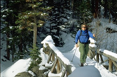 Cross Country Skiing