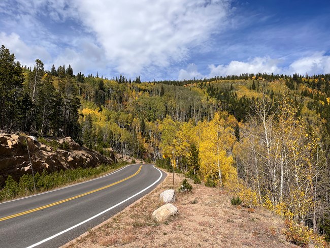 View of Bear Lake Road's paved surface with Aspen along the road. The trees have leaves of gold, orange and red