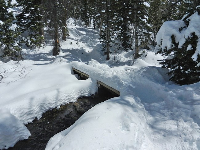 First Bridge between Nymph and Dream Lakes
