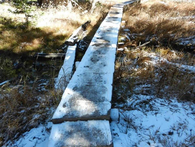 Icy Boardwalk near The Loch
